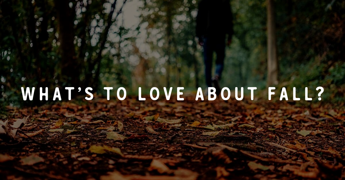 What’s to Love about Fall?