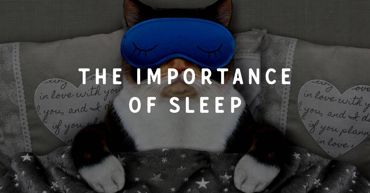 The Importance of Sleep